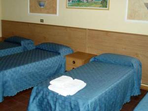 Famiglia dei Discepoli Centro Giovanile Padre Minozzi