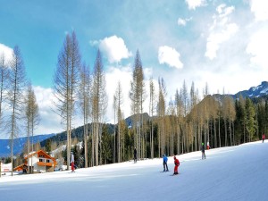 Agritur La Regina dei Prati