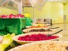 Esperia Palace Hotel - Villaggio sul Mare in Salento, Vacanza All Inclusive