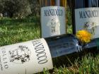 Vini Manzocco