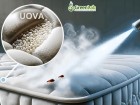 Green Lab Disinfestazioni - Eccellenza, Innovazione e Sicurezza Ambientale