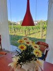 Al gatto nero del Benandant - Lounge Bar & Piscina AQA, Cormons nel Collio