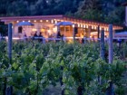 Al gatto nero del Benandant - Lounge Bar & Piscina AQA, Cormons nel Collio