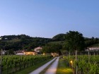 Al gatto nero del Benandant - Lounge Bar & Piscina AQA, Cormons nel Collio